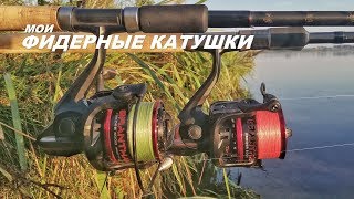 Обзор фидерных катушек