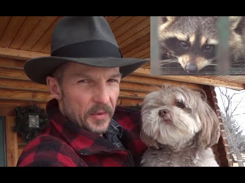 The Rapid Response Raccoon Rescue and Relocation Squad!