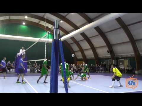 Sintesi Ascot Triante - Samz Milano