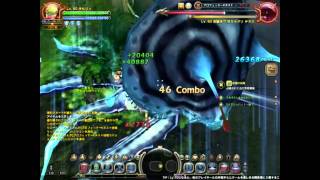 ドラゴンネスト:ネタの闇パラ【ガデ】でNPKに挑戦してみた。