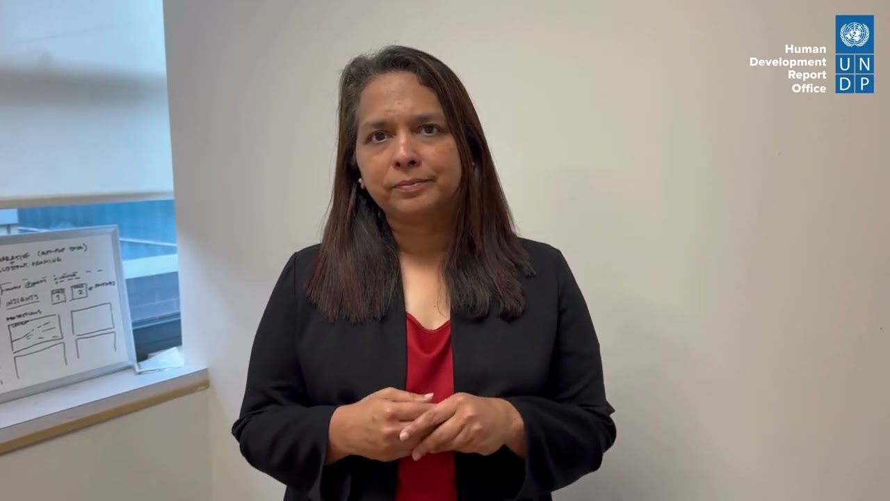 HDR 2025 Private Sector Consultation Recap (26 Sep 2024)