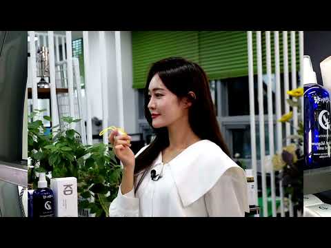 천년의 블로초