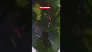 Download lagu please subscribe #jobbiehebriovlogs mp3 Download lagu please subscribe #jobbiehebriovlogs mp3