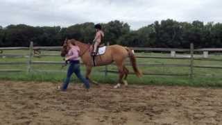 Limelight Farm Summer Camp Week 1