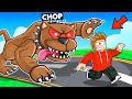 ROBLOX CHOP RACES ME IN PET RACE SIMULATOR FOR FIRST PLACE