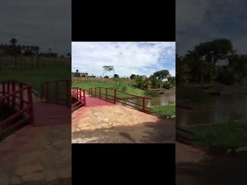 #morrinhos #goias #youtuber #roçaminhapaixão