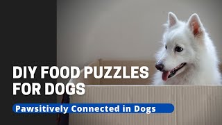 DIY Food Puzzles For Dogs