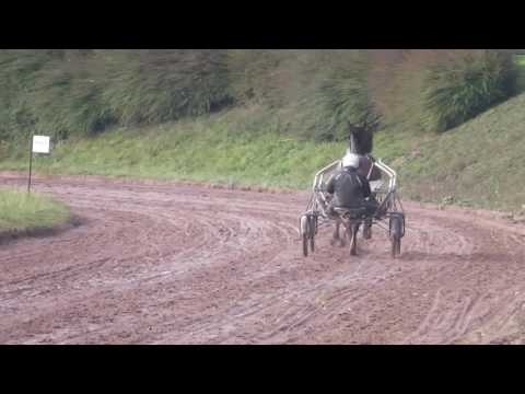 Erythie du Goutier et Elicatte de Viette