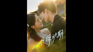 [MULTI SUB] 「入夜躁动期」（80集）米热＆方思畅|夜阑汐与蒋越择相识八年并订婚六年，却在蒋越择的绯闻与羞辱下分手。夜阑汐为摆脱家庭控制，答应与重伤的靳冰宸冲喜闪婚。#热门短剧