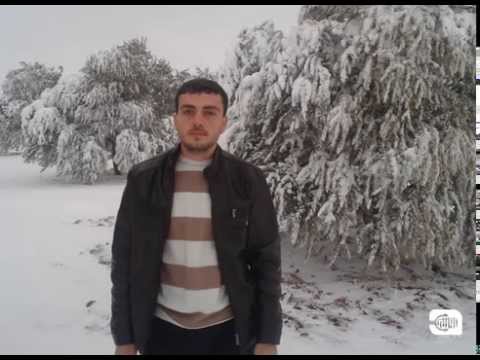 محمد القاسم.. في عيون روزنة