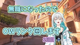 【OverWatch2】無職ランク　DPSをP2からM5まで上げる
