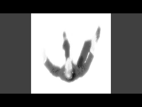 Horse Vision video