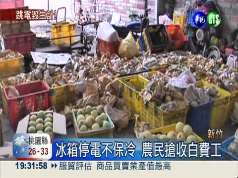 停電害桃梨爛 台電跳電.農民跳腳