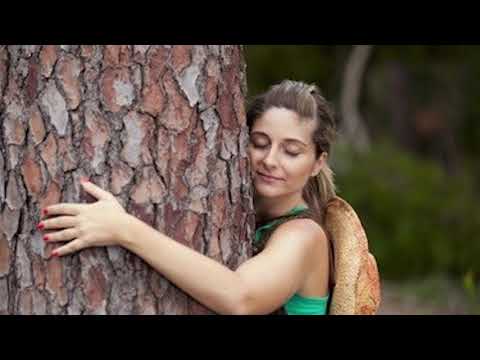 Uberi dan - Dendroterapija