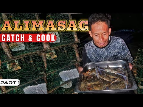 EP907-P1 - Alimasag Catch and Cook