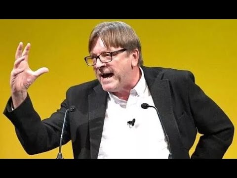 'Having a laugh!' Verhofstadt mocked after claiming EU is 'glob@l power' in Turkey rant