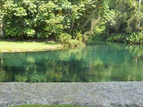 FIESTA DE VERANO (Summer Holiday) TROPICAL AMERICA