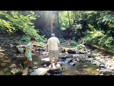 CASCADA CORNET TIMIS  NADRAG 4K