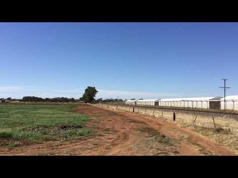 freight train 6GA1 CF4410