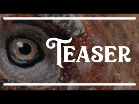 Europasaurus Teaser