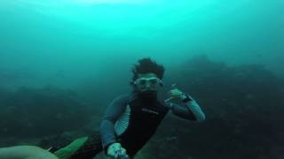 preview picture of video 'Freediving at Anilao Batangas - near Twin rocks'