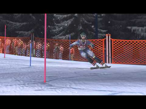 Ski Racing 2005 featuring Hermann Maier PC