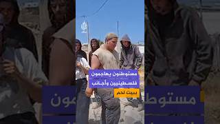 مشاهد توثق اعتداء مستوطنين على فلسطينيين وناشطين أجانب في قرية أبو انجيم جنوب شرقي بيت لحم