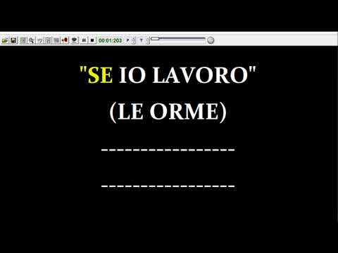 Le Orme - Se Io Lavoro  (Karaoke  Devocalizzata)