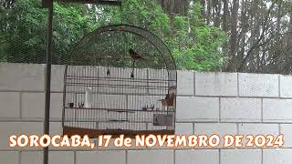 CAMPEONATO ESTADUAL FEBRAPS 2024 - OITAVA ETAPA - SOROCABA III - SP