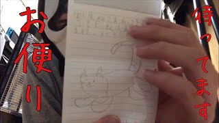 帰ってきたバームFの第三回お便りコーナー【ネコ】