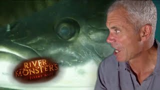 Jeremy Wade Attacked By An Arapaima - River Monsters