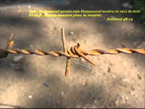 Ani Rogojan-Sunt un bulgaras prea mic