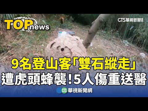 9名登山客「雙石縱走」遭虎頭蜂襲！　5人傷重送醫