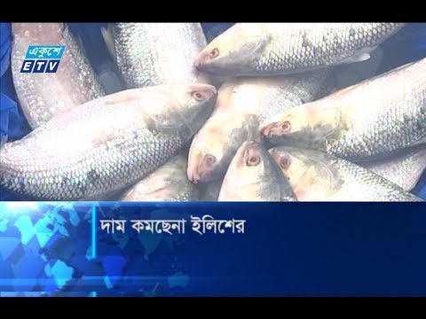 সরবরাহ বেশি কিন্তু দাম কমছে না ইলিশের