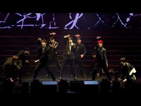 POLARIX "MILLIONAIRE"