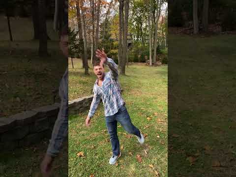 Chiropractic Biophysics