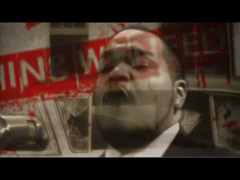 Steve Bell & Fresh I.E. - Everything We Need