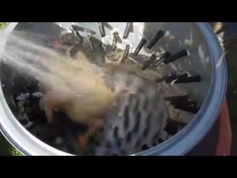 Selbstgebaute Rupfmaschine Test Nr:1