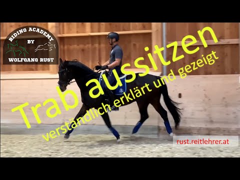 F4 Learning to sit horses in the trot. As a rider, drive horses in the trot and learn to sit. In ...