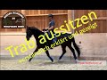 F4 Learning To Sit Horses In The Trot As A Rider Drive Horses In The Trot And Learn To Sit In