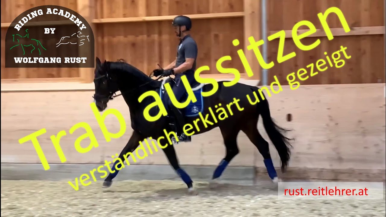F4 Pferde im Trab aussitzen lernen. Als Reiter Pferde im Trab treiben und sitzen lernen. In Zeitlupe