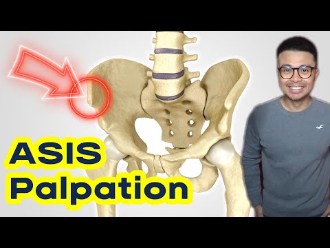 Palpate like a Pro: ASIS mastery in minutes!
