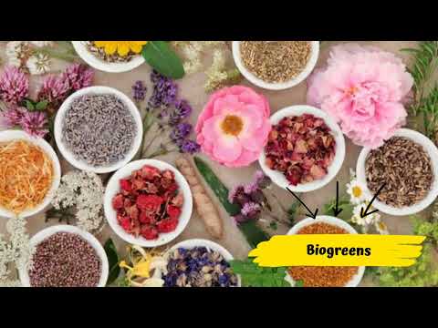 Nutricharge Bio Age Tablet