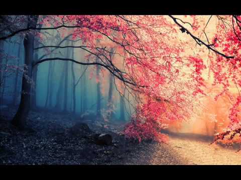 Quebonafide X Deys - Ciernie (GRACEK BNS BLEND)