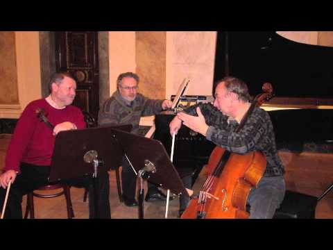 Andrzej Panufnik Piano Trio (1934), Trio Cracovia: Smietana/Tryczynski/Tosik-Warszawiak
