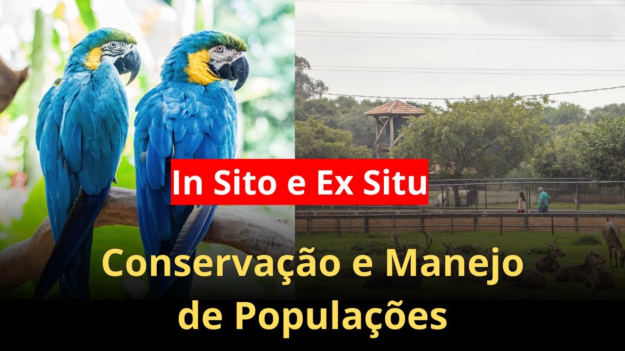 Conservação e Manejo de Populações In Situ e Ex Situ