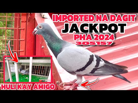 EP818 - P1 JACKPOT TAYO... IMPORTED NA DAGIT HULI KAY AMIGO!