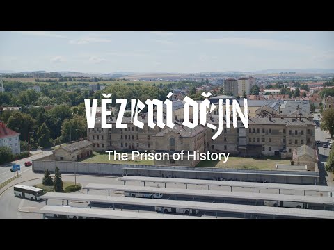 Náhled pro video reference