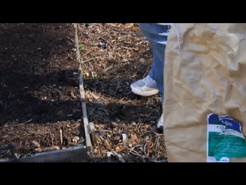 How to Use Potash & Potassium in My Garden : Berry Gardening, Fertilizers & Vegetables