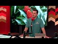 Nieuws uit de Orchideeën Hoeve